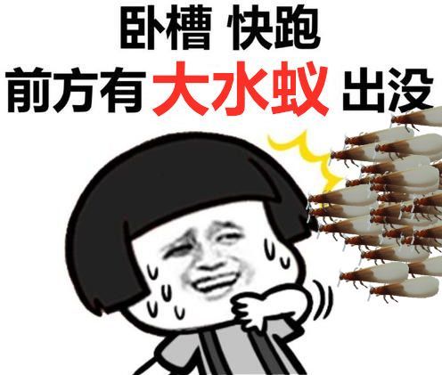 飞蚁大军杀到广东!已有多人中招,吓到不敢开灯