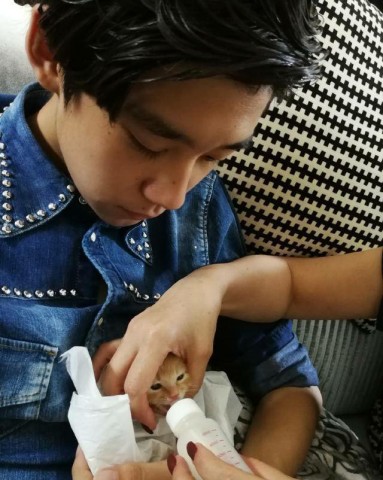 有一种整容叫许何长大了,告别胖墩身材,颜值赶超王俊凯