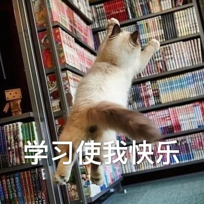 猫咪表情包:图4学习使猫咪快乐,和猫咪一起学习吧!