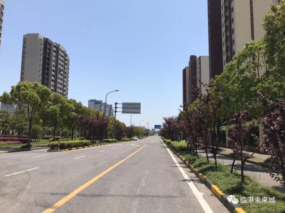 春暖花开处处景:临港万祥社区的大河,大港与大路