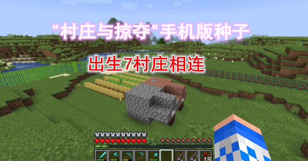 70以上minecraft大村庄种子码 Minecraftの画像だけ