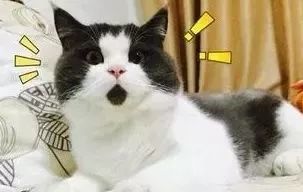 641
