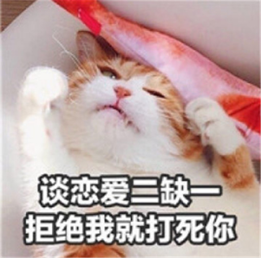 表情包 小奶猫 谈恋爱二缺一 拒绝我就打死你 橘猫 削你啊