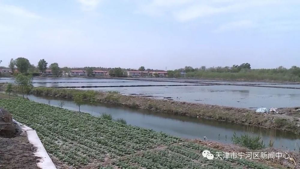 廉庄镇创卫工作有序推进 美丽村庄效果初显