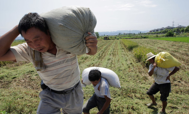 农民种田能养家糊口,供孩子上学吗