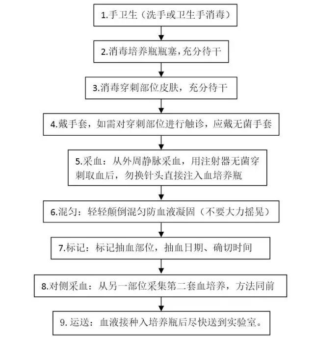 护士你知道吗 留个血培养 居然还有这些讲究 腾讯新闻