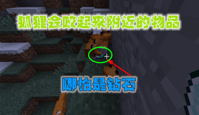 我的世界 新版狐狸可以使用附魔武器击杀猎物 关于狐狸的几件事 Minecraft 小狐狸 卡特曼 武器