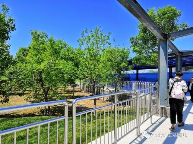 迟到的全线开通-北京市郊铁路S5线全程体验