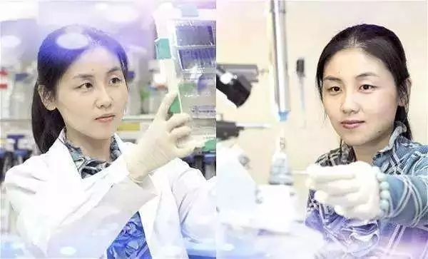 颜宁老公 腾讯网