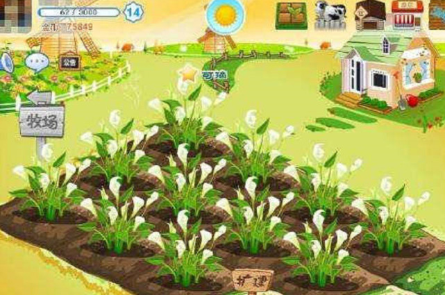 qq农场,00后应该都没有玩过这个游戏,还记得那些年我们一起偷过的菜吗