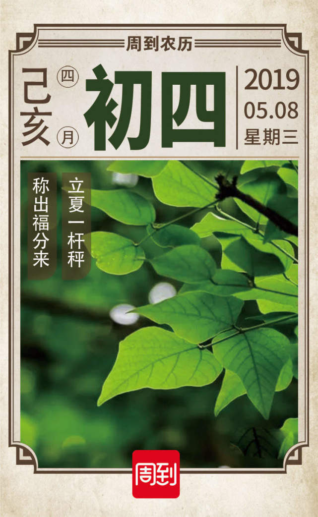 农历中国 | 四月初五 · 等待瓜果飘香