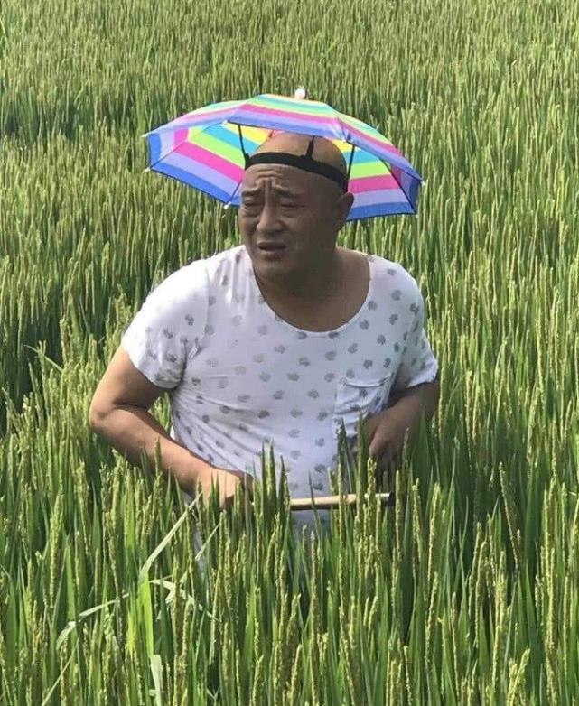 《乡村爱情》不同的是,赵本山的农村剧以喜剧为主,反应东北农民的幽默