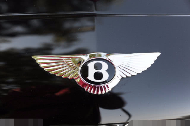 全球最"豪华"车型全在里头,这个盾牌标是啥车?知道3个算你狠