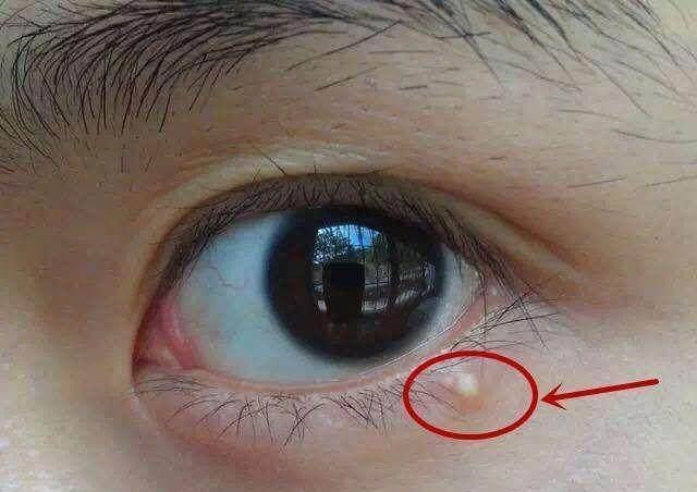 眼睛有这几个 特点 的女生 提高颜值比登天还难 如花都比你美