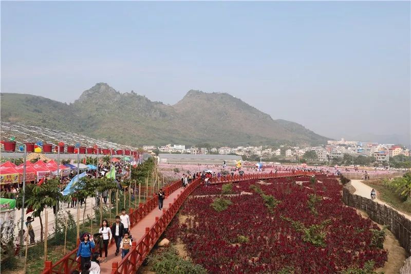 上石镇那么美,你知道么?