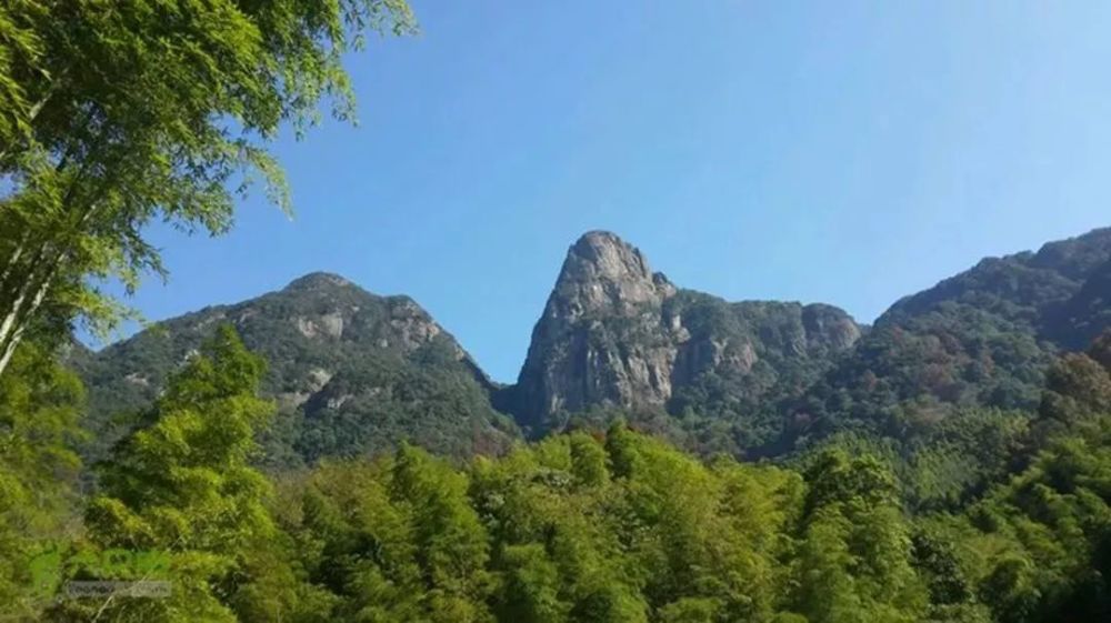 【05.18 小强驴】看云卷云舒,迷雾竹林——从化鸡枕山徒步之旅