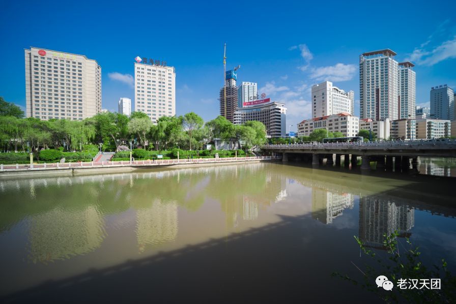 瞧,文化公園裡的牡丹花爭奇鬥豔,五岔路口,中心廣場,花團錦簇.