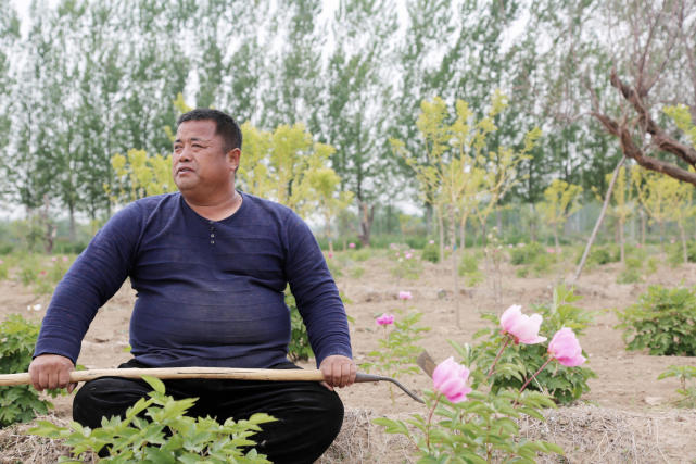 山东拳师隐居乡下斥资百万建"花海",被赞有情调的功夫农民