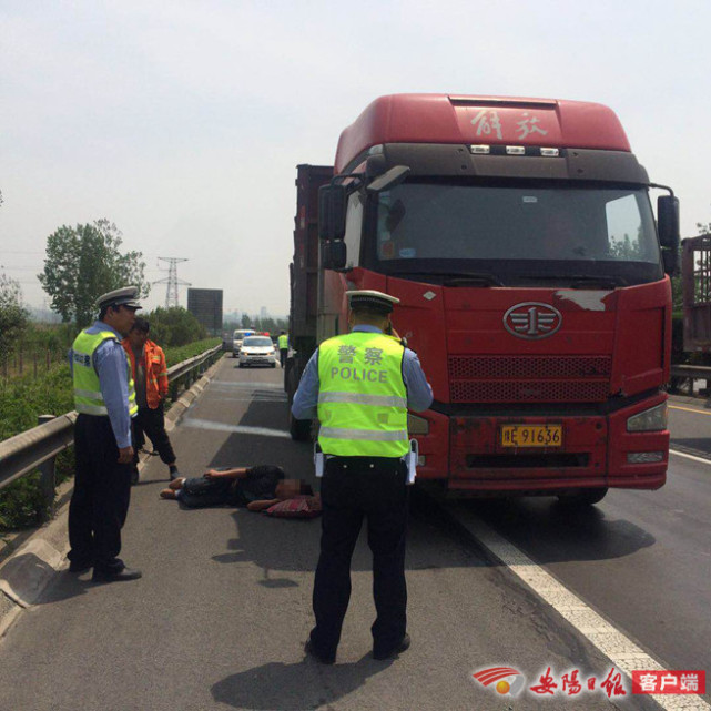 货车司机被马蜂蛰头昏迷安阳高速交警快速