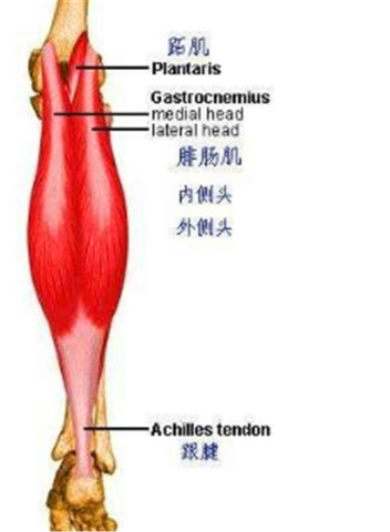 怎么避免跟腱损伤