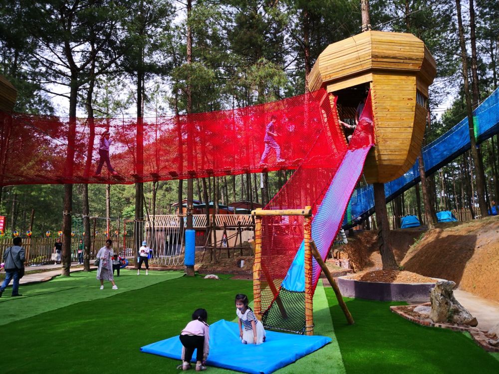 这里有长在树上的大坚果屋