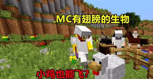 Minecraft翅膀奥秘你知多少 创造模式建筑也有翅膀 大开眼界了