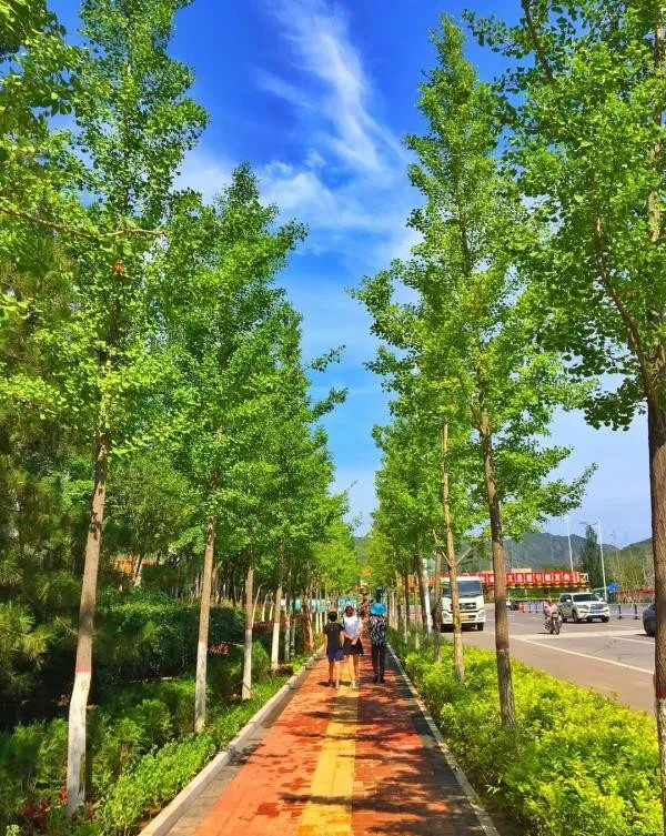 出门进园"标准努力打造宜居宜游的公园城区,在建设3条景观大道,改造11