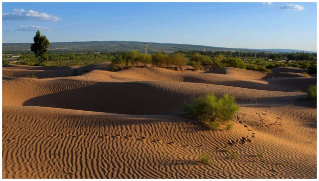 世界上第一被治服的沙漠,已成森林公园,中国骄傲