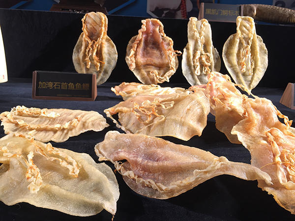 上海查获122个石首鱼鱼鳔价值上千万元,系孕妇行李箱所藏