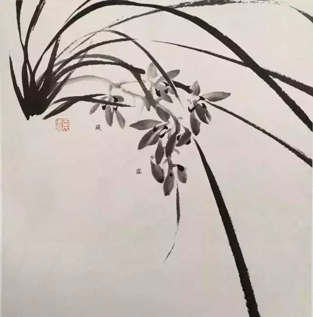 徐湛老师教你画兰花兰草主次虚实呼应等绘画关系大合集