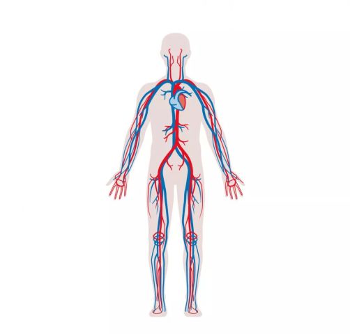 登山时浑身没劲想睡觉,你是怎么了?