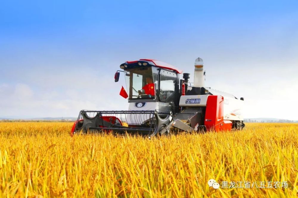 咱密山行政区的855农场——应该关注!