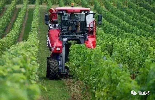 全球七大农业强国曝光 中国的排名和令人意外