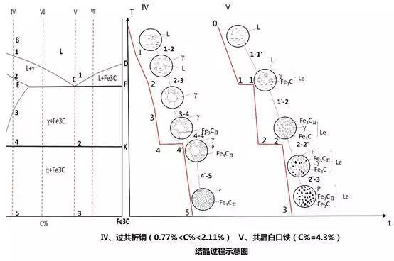 Ⅵ,亚共晶白口铸铁(2.11%