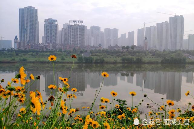 薄雾晨光 衡阳市蒸水风光带花廊美成了一幅画
