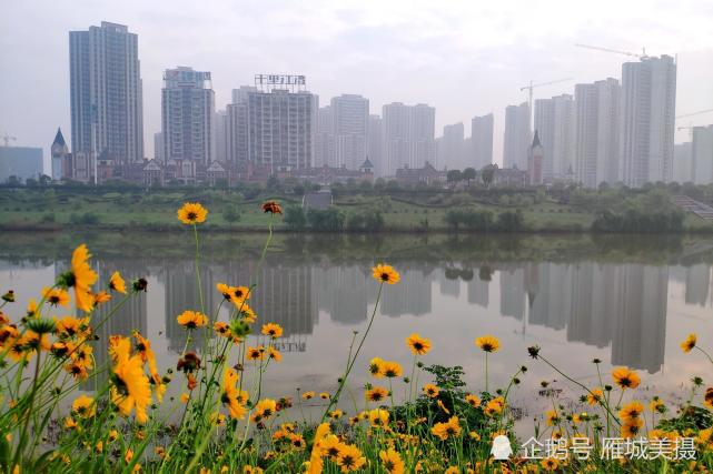 薄雾晨光 衡阳市蒸水风光带花廊美成了一幅画