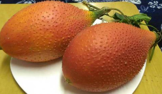 被誉为"来自天堂的水果"植物,像极一个大刺球,能用来对付痔疮