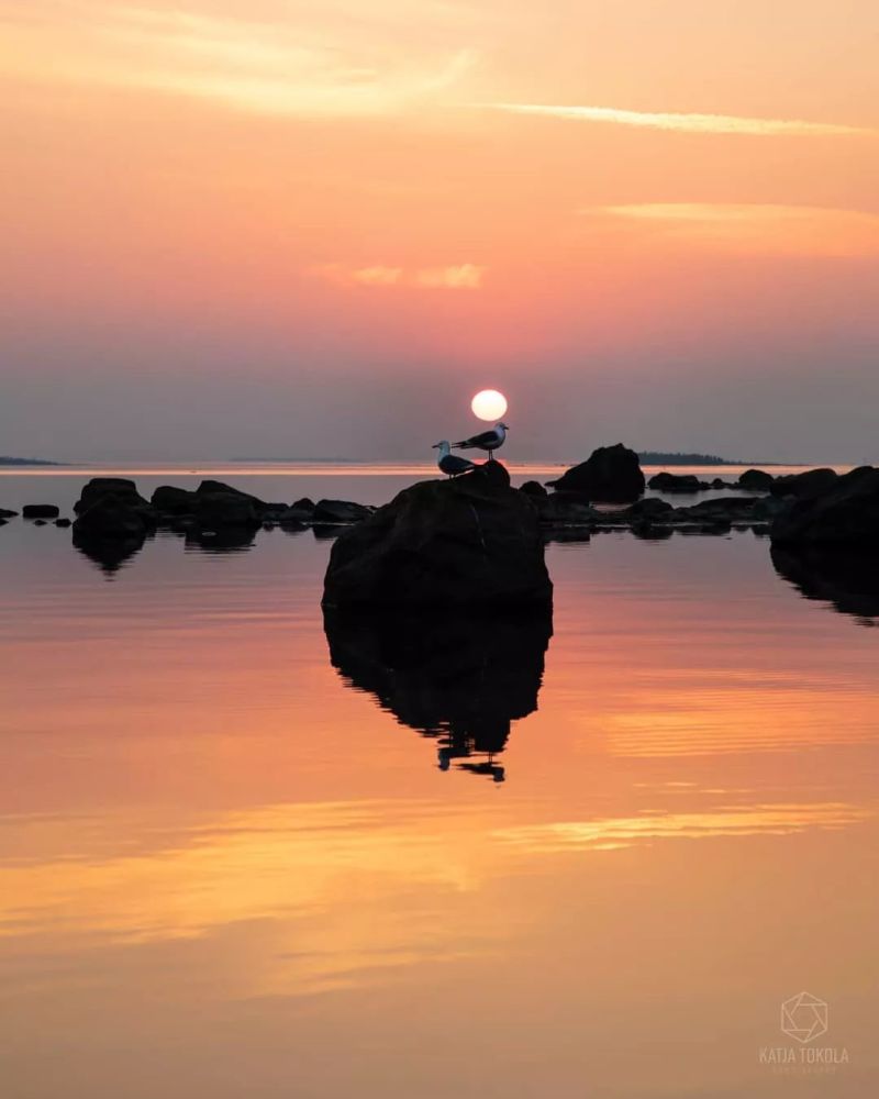 夕阳如画,美轮美奂,好看!