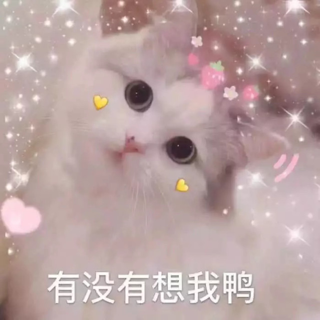 641