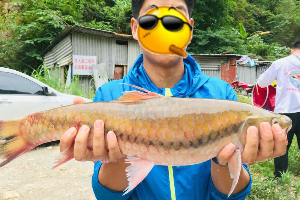 幾萬一斤的神魚?雲南網友瀾滄江釣獲奇魚,神似天價