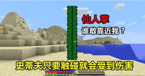 Minecraft 史蒂夫脑洞大开 打造仙人掌围墙 再也不怕僵尸袭击