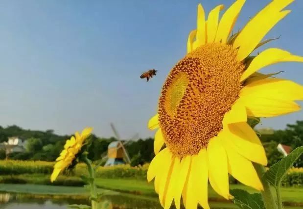 腾讯内容开放平台