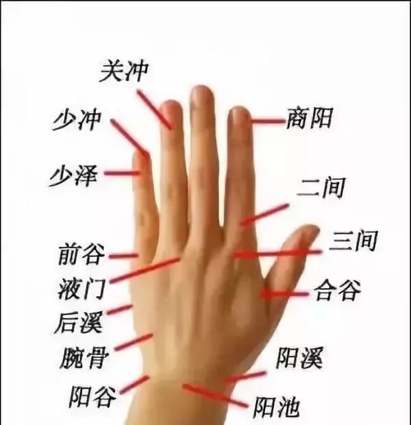 手指的部位名称解释图图片