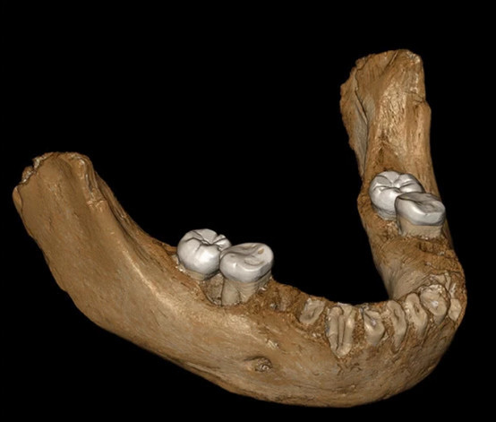 西藏发现丹尼索瓦人遗骨，他们16万年前已经登上了青藏高原