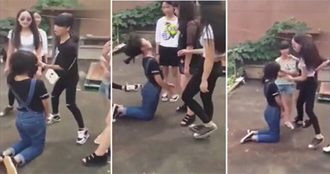 登录查看大图