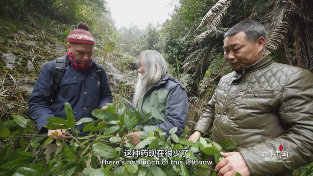 《春分》中英國籍主持人江森海跟隨陳贊文老人上山採藥