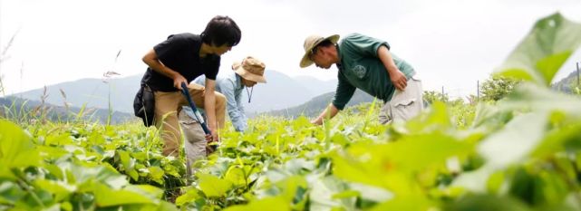 日本欧式精灵农场 一个不可思议的缩小版世界