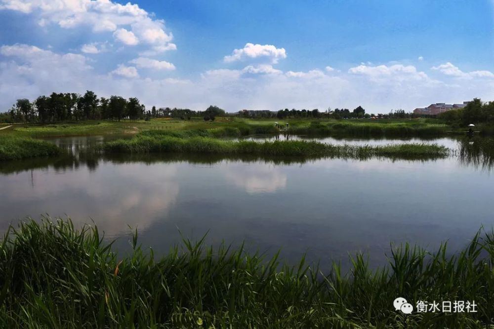 水,恩泽了衡水这片热土,也曾给人们带来灾难.