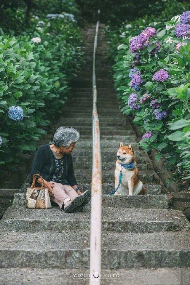 Ins 超火壁纸推荐 人生没有白走的路 每一步都算数