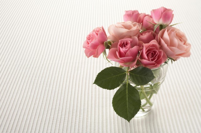 送女性长辈什么花这些都挺合适的 腾讯新闻